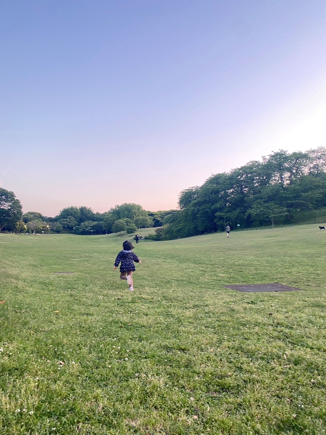 公園