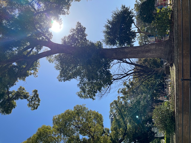 ���l����